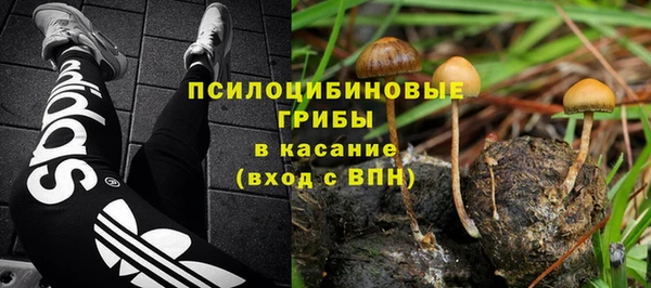 ГАЛЛЮЦИНОГЕННЫЕ ГРИБЫ Нея