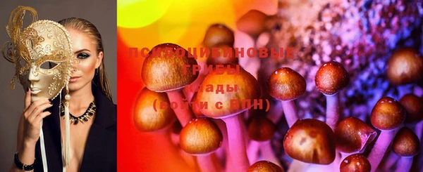 синтетический гашиш Медвежьегорск