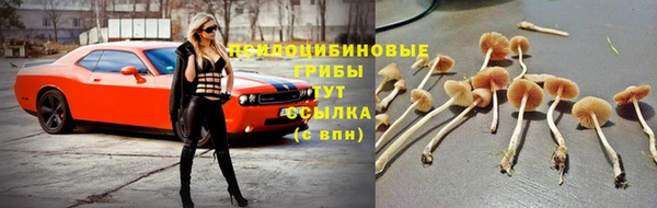 МДПВ Мегион