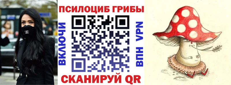 Псилоцибиновые грибы GOLDEN TEACHER  Чухлома 